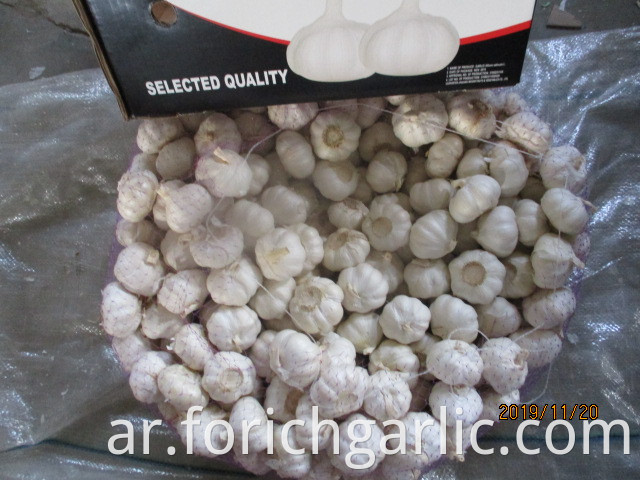 2019 Best Quality Pure White Garlic